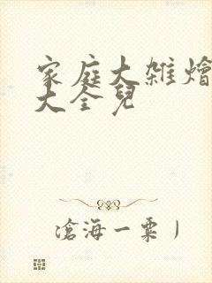 家庭大杂烩小说大全儿封面