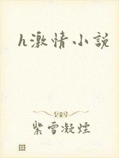 h激情小说