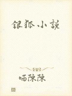 银狐小说