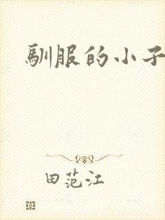 驯服的小子4