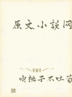 原文小说网