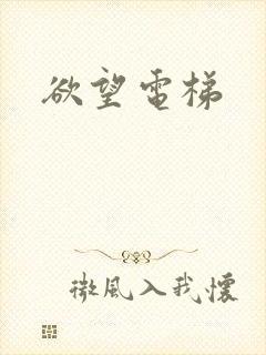 欲望电梯