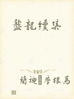 盘龙续集