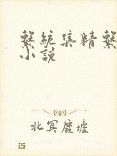 系统集精系统 小说