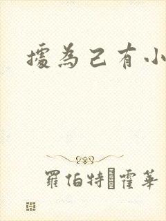 据为己有小说