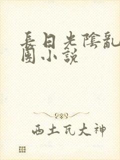长日光阴乱作一团小说封面