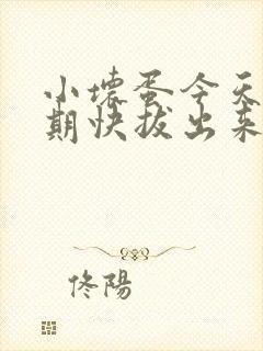 小坏蛋今天危险期快拔出来