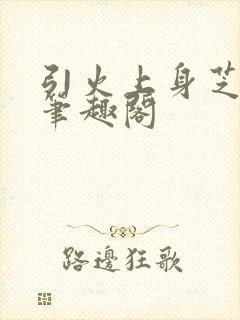 引火上身芝麻糖笔趣阁
