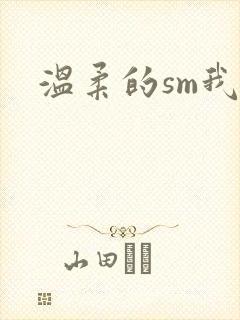 温柔的sm我封面