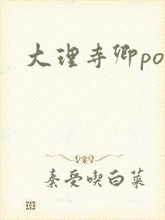 大理寺卿po封面