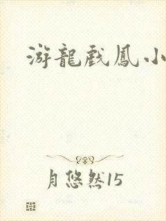 游龙戏凤小说