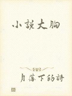 小说大胸