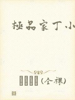 极品家丁小说