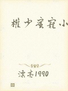 权少蜜宠小娇妻封面