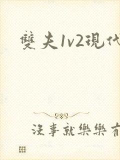 双夫1v2现代