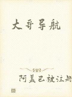 大哥导航