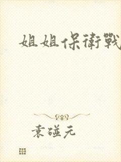 姐姐保卫战封面
