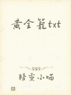 黄金笼txt