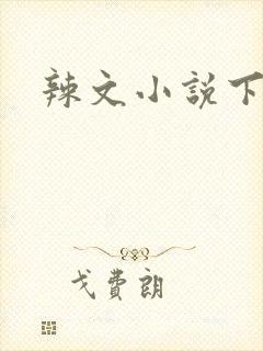 辣文小说下载