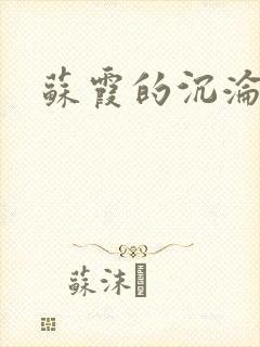 苏霞的沉沦封面