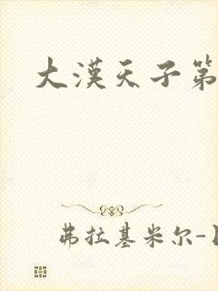 大汉天子第一部封面