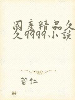 国产精品久久久久9999小说