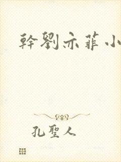 干刘亦菲小说
