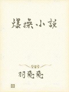 爆操小说