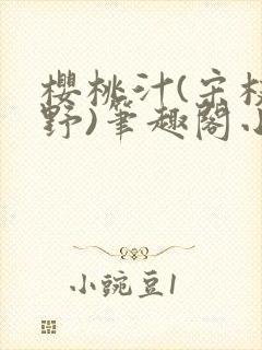 樱桃汁(宋枝江野)笔趣阁小说封面