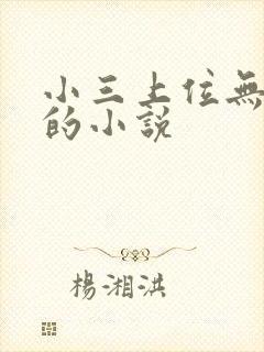小三上位无三观的小说