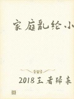 家庭乱纶小说