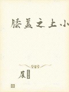 膝盖之上小说