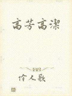 高芳高洁封面