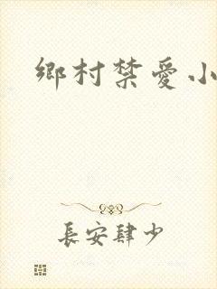 乡村禁爱小说
