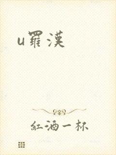 u罗汉封面