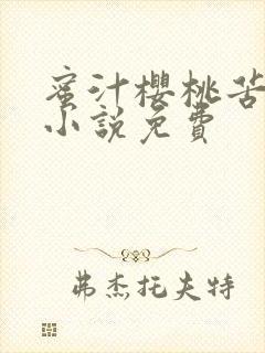 蜜汁樱桃苦咖啡小说免费