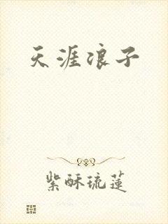 天涯浪子封面