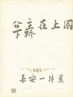 公主在上国师请下轿封面