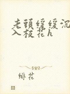 老头缓缓沉腰进入校花h