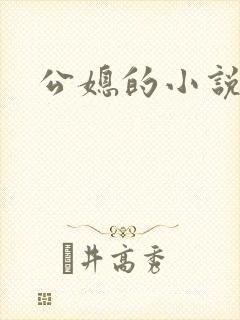 公媳的小说