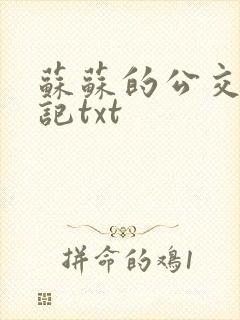 苏苏的公交车日记txt