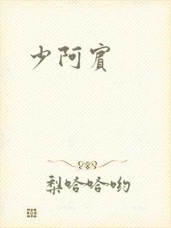 少阿宾