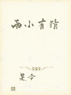 两小有猜封面