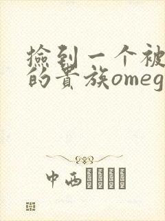 捡到一个被抹布的贵族omega