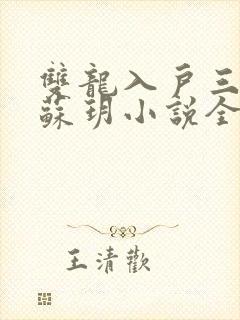 双龙入户三人行苏玥小说全文阅读