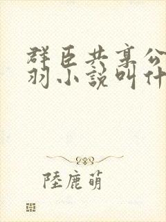 群臣共享公主银羽小说叫什么
