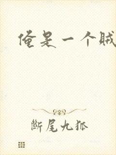 俺是一个贼