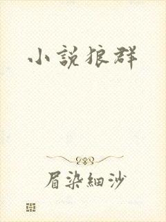 小说狼群