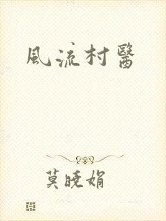 风流村医封面