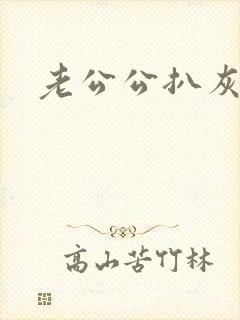 老公公扒灰小说